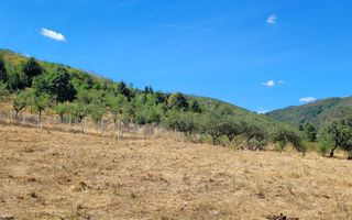 TEREN 5000 MP I SĂLIȘTE I PARCELABIL - Poză 6