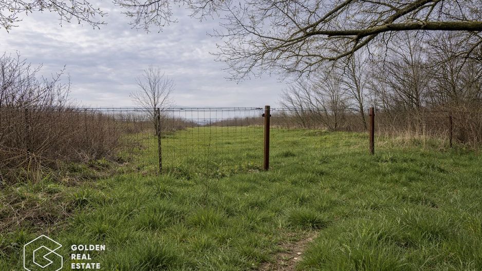 Teren intravilan generos în Cebza, 1439 mp, ideal constructie - Poză 1