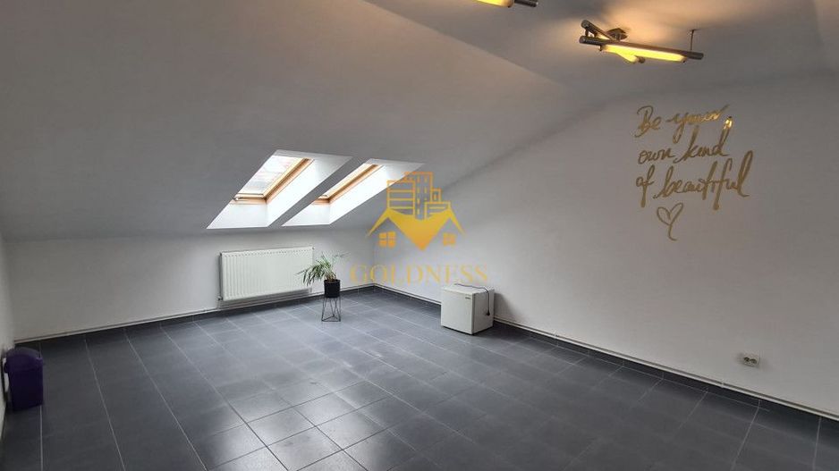 Spatiu de birou, depozitare, zona Centrala, Platinia, Motilor - Poză 2