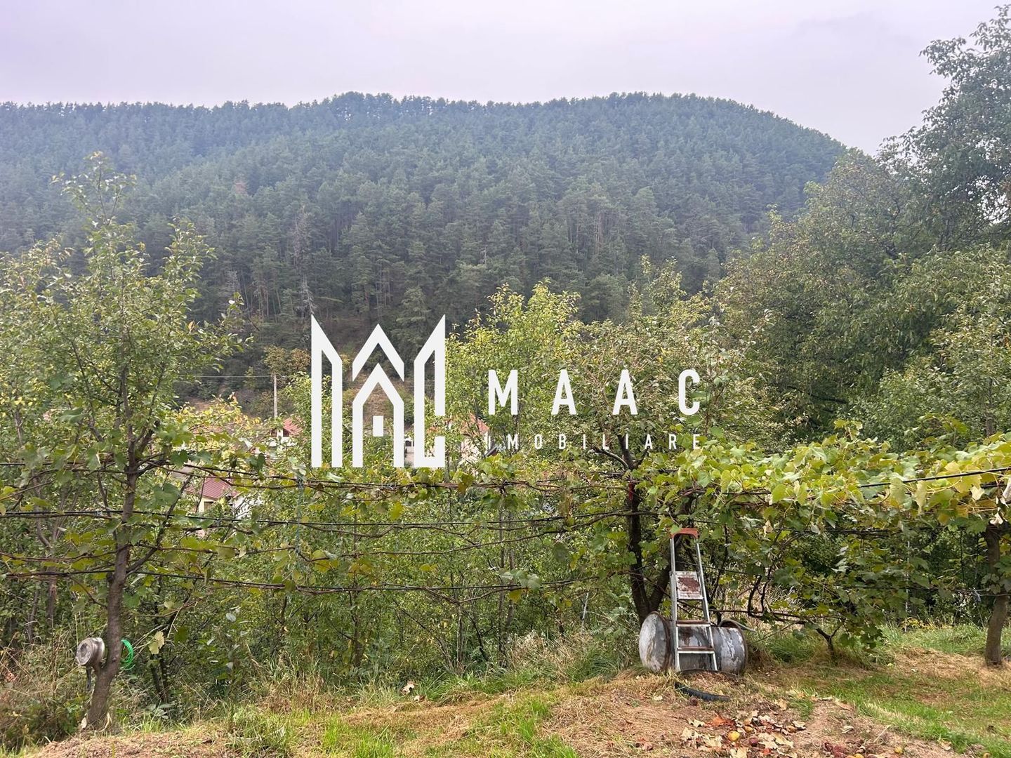 Casa Individuala I 2 Camere I Rasinari - Poză 8