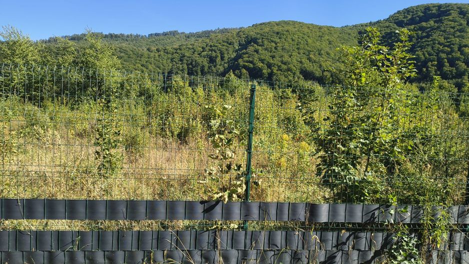 Vand Teren intravilan - Poză 13