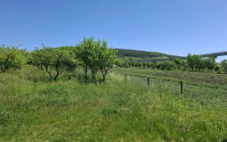 Teren de vanzare in Valcele - Poză 2