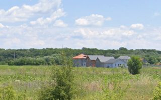 800 mp padurea Snagov Ciofliceni l utilitati la strada - Poză 3