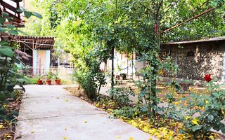 Casa in centrul localitatii Galsa - LINISTE LA TINE ACASA - COMISION ZERO - Poză 11