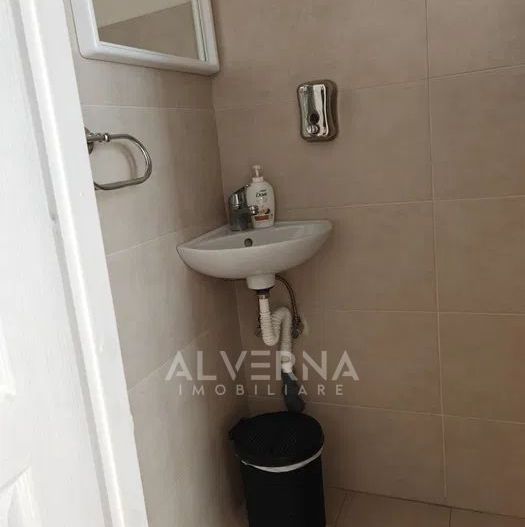 Apartament 2 camere | 100mp| parcare |pet friendly | zona semicentrala - Poză 8