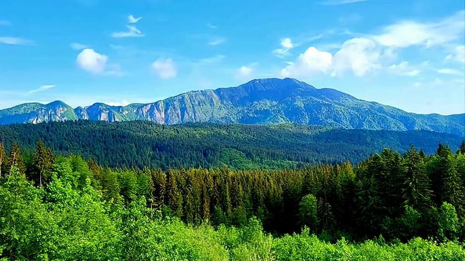 Aparthotel cu view superb Valea Prahovei - Poză 2