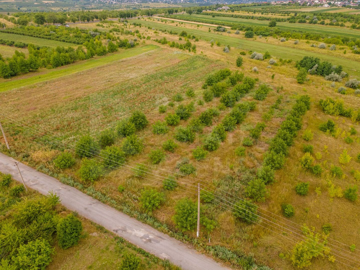 Vânzare, teren, 50 ari, str. Tineretului, Trușeni - Poză 5