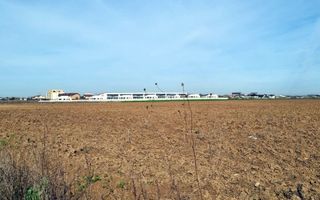 „Corbeanca – aer curat, potențial mare, preț competitiv. 4 loturi - Poză 3