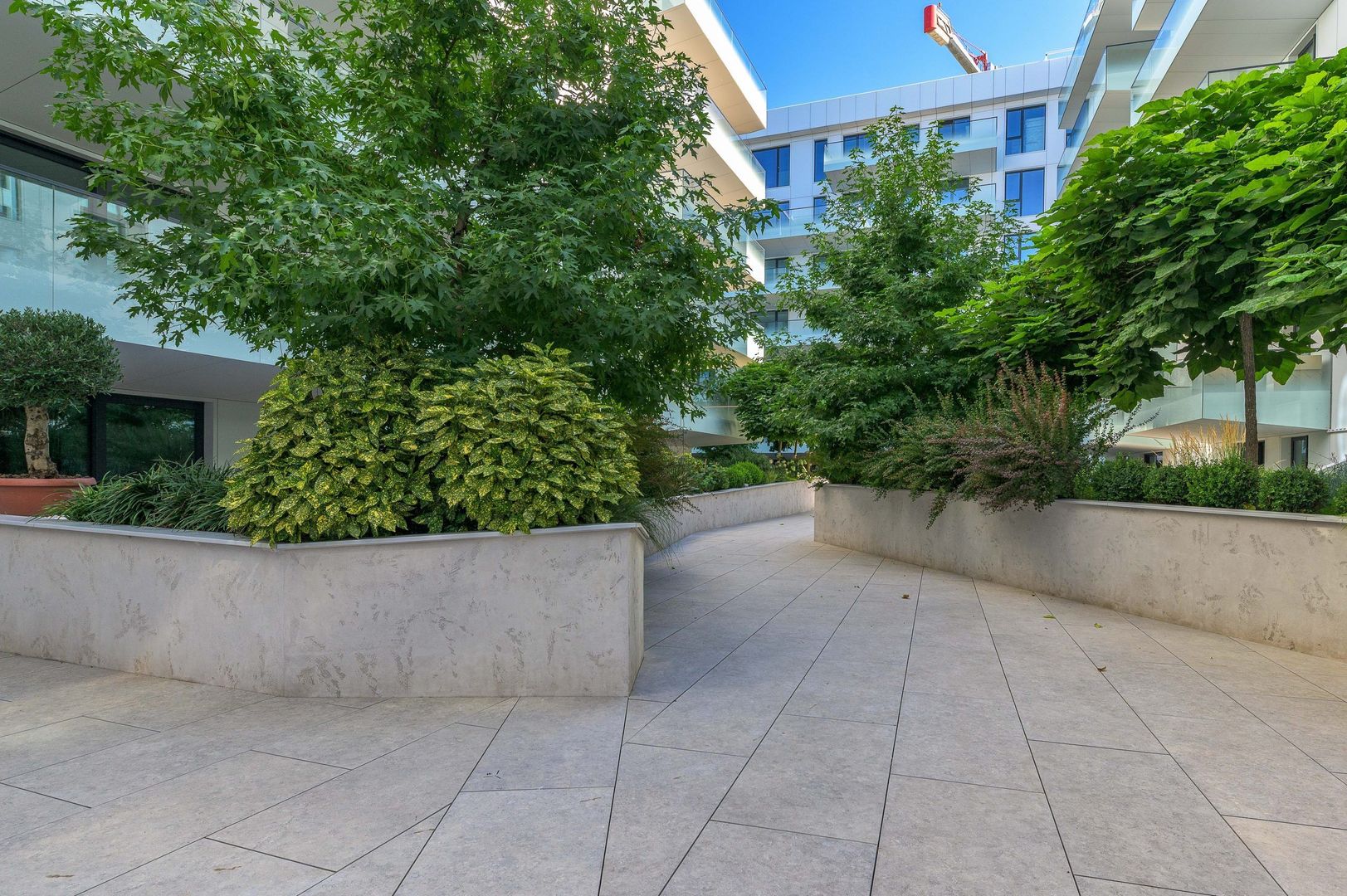 Pines Residence - Poză 4