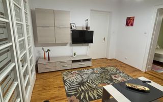 Vilă de închiriat zona Parvan - Poză 22