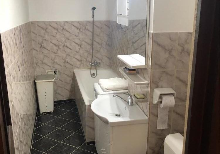 Apartament cu 2 camere de inchiriat in Zona Piata Alba-Iulia - Poză 7