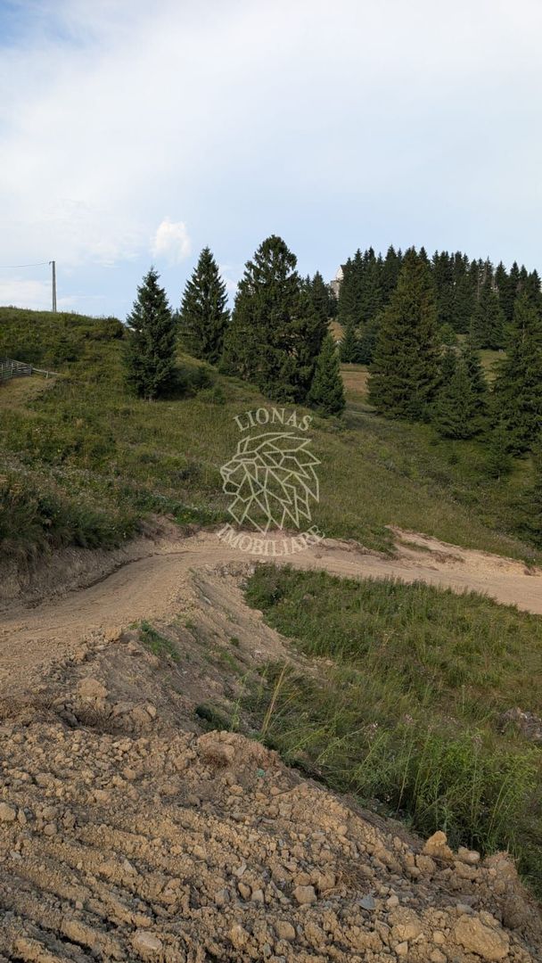 OFERTA! 11 Parcele teren intravilan-Piatra Fantanele, Castel Dracula - Poză 2