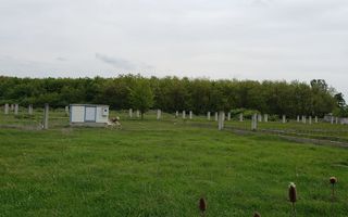 Teren intravilan 31 parcele, situate in comuna Gepiu, Bihor - vanzare - Poză 10