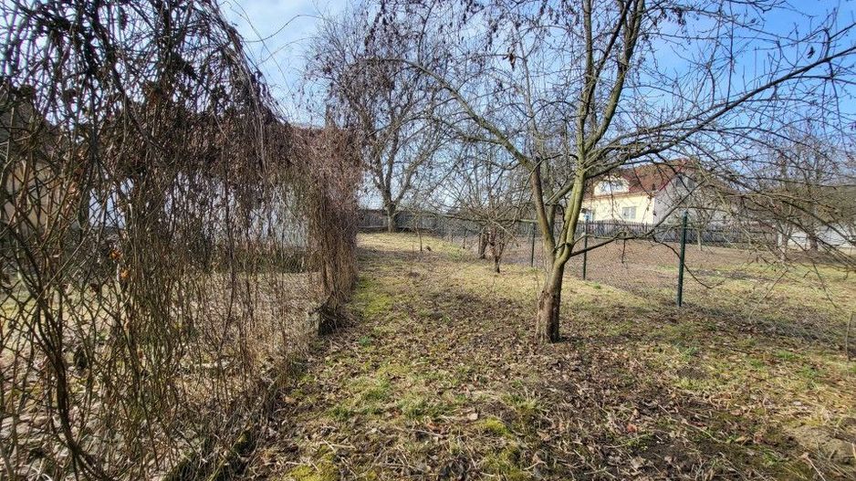 Casa cu doua corpuri de cladire si anexe, teren 1350 mp, Savarsin - Poză 15