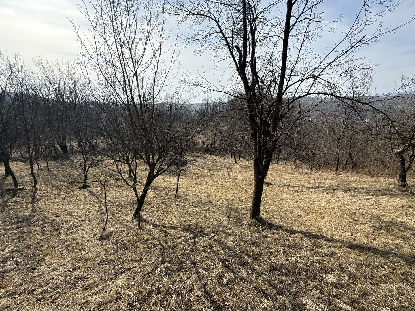 Teren intravilan 2788 mp deschidere 55 ml cu vedere panoramica ! - Poză 6