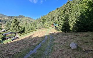 Teren intravilan la munte - Poză 6