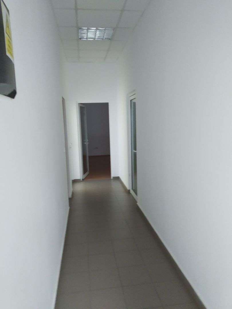 Hala  1370 mp zona C. Sagului - Poză 18