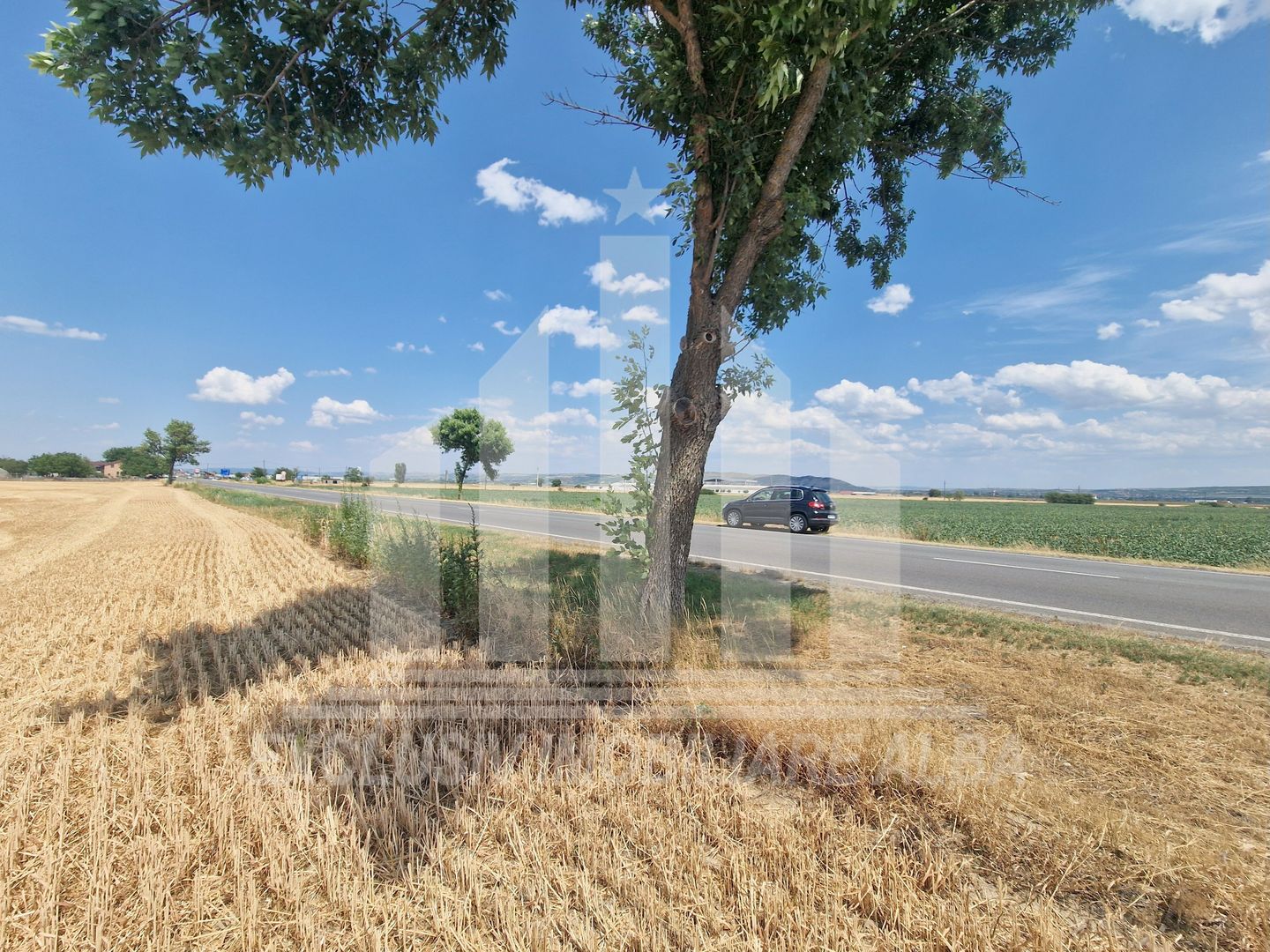 Teren agricol la sosea, pretabil si ptr constructii industriale - Poză 3