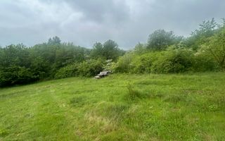 Teren Extravilan 4.572mp | Zonă liniștită | Sadu - Poză 4