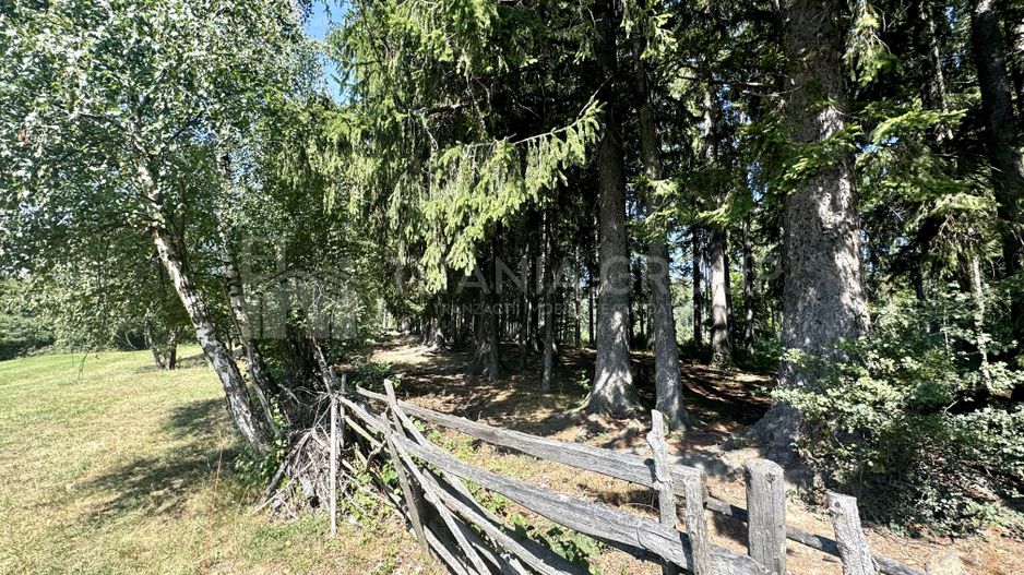 Platou montan, 6631 mp intravilan, electricitate,  langa pădure - Poză 10