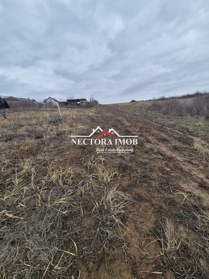 NECTORA IMOB-Teren Intravilan Zona Paleu, 589 mp, Vedere LAC,Utilitati - Poză 4