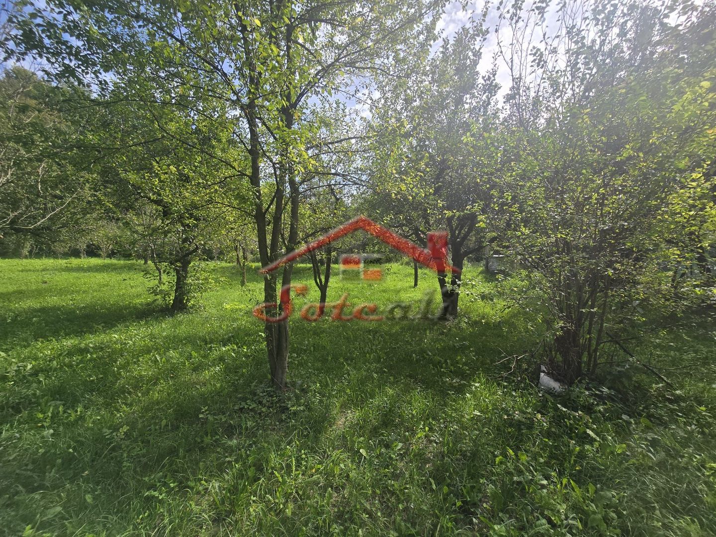 Oportunitate de investiție în Breaza – teren intravilan de 3.591 mp - Poză 16