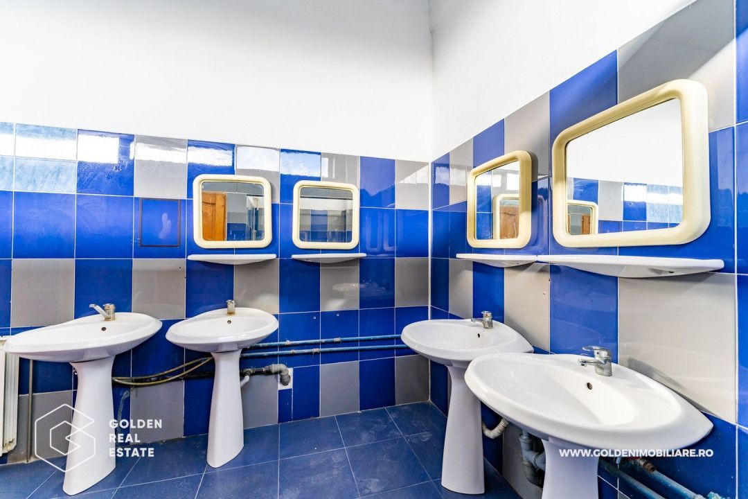 Hala pentu productie In zona Micalaca - Poză 16