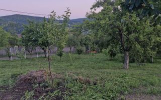 Teren intravilan de vanzare, Chicerea, 740 mp, strada Canarului, Tomesti - Poză 5