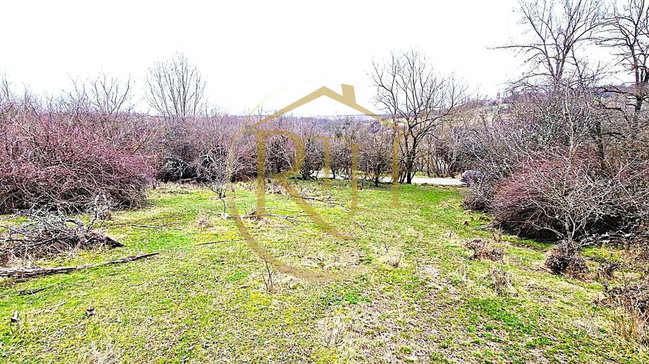 Terenuri extravilane de vânzare – Vizma & Crivobara, comuna Secaș, jud. Timiș - Poză 3