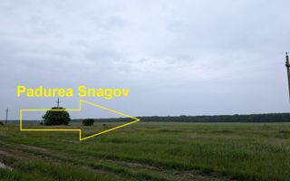 Vanzare Teren - intravilan - Snagov Ghermanesti - Poză 14