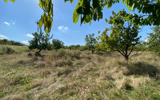 Teren 802 m2 Faget cu PUZ aprobat - Poză 2