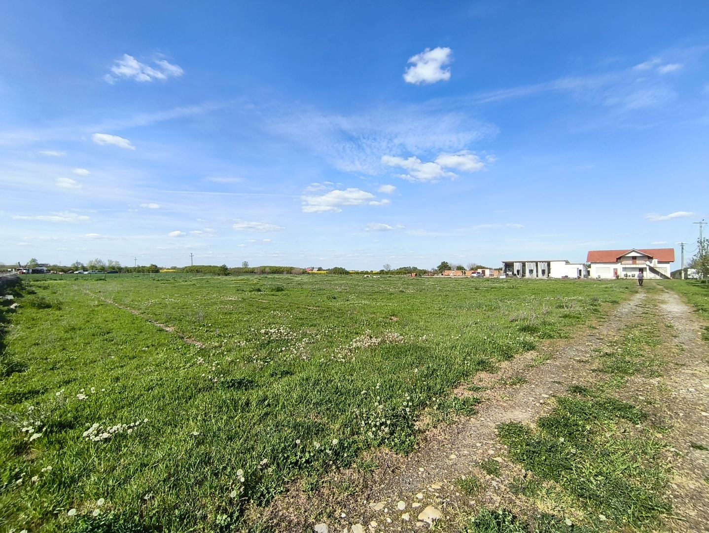 Casa cu 4 camere cu teren de 14,340 mp + platforma de beton cu hala - Poză 4