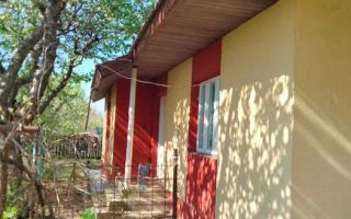 🏡 Casă cu livadă sat Prisăcani  - Teren 4500 mp - Poză 3
