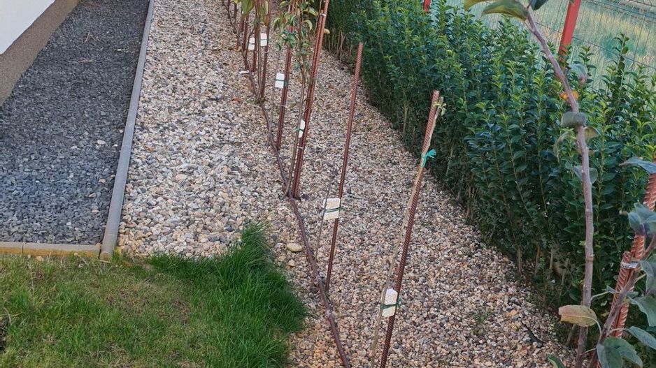 Casa  pasiva-deosebita-Sag manastire - Poză 31