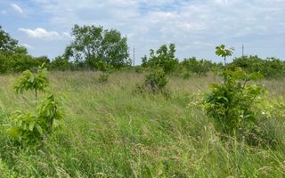 Teren intravilan***1439 mp***Cretesti-Vidra-Ilfov - Poză 17