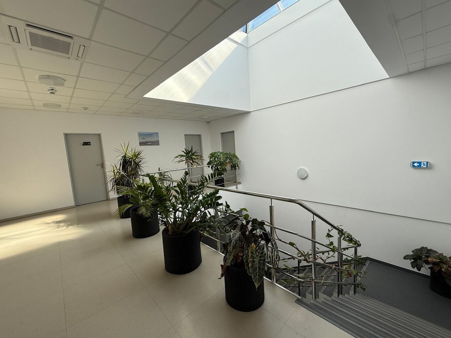 Spațiu industrial de închiriat – Drumul între Tarlale, Sector 3 - Poză 23