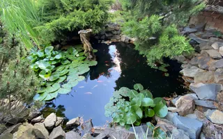 Vila in Braytim cu piscina - Poză 26