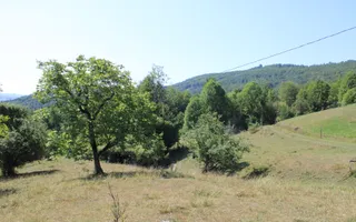 Terenuri Carpinis I parcelabil I Curent pe proprietati - Poză 16