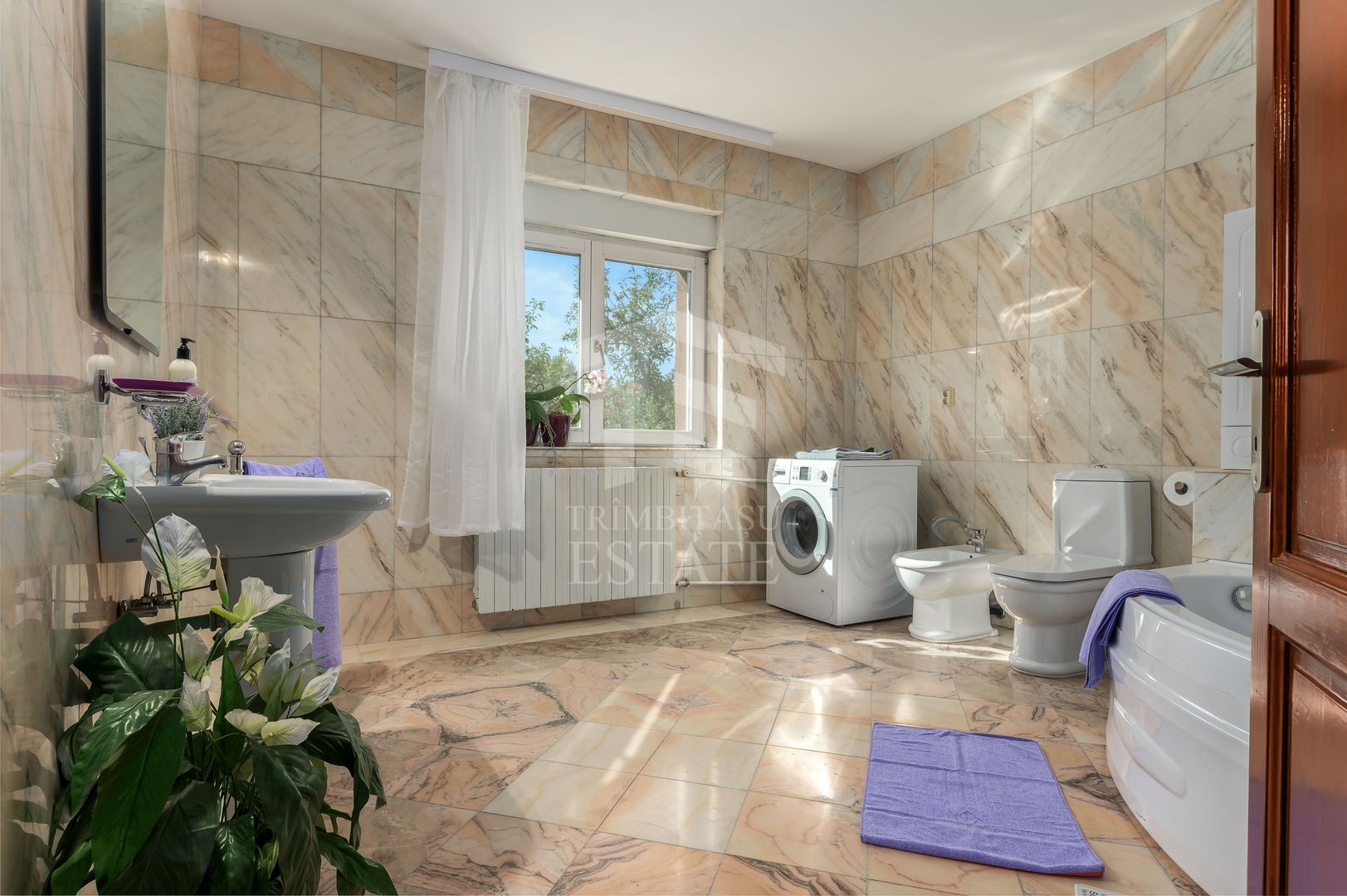 Vila Superba 360 mp - LOT 510 mp - Parcul Circului - Lacul Tei - Poză 10