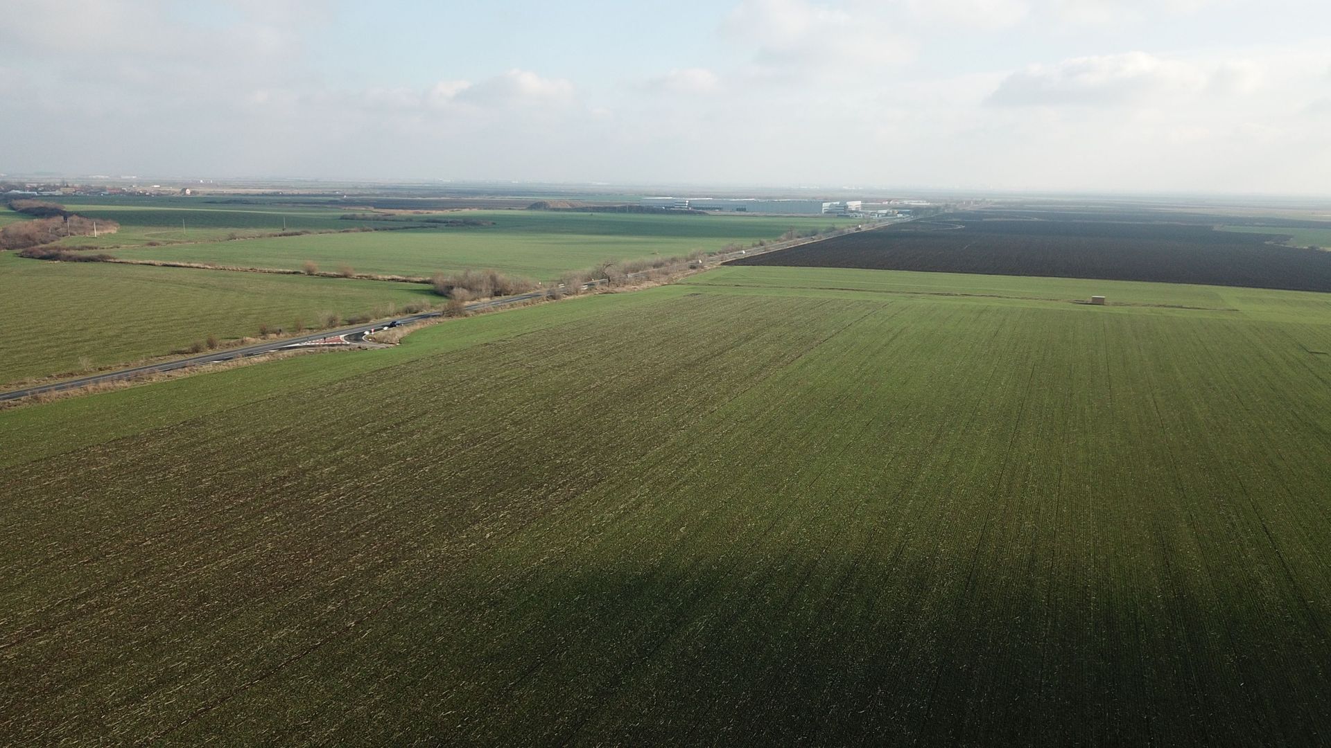 TEREN INDUSTRIAL/COMERCIAL BECICHERECU MIC - Poză 6