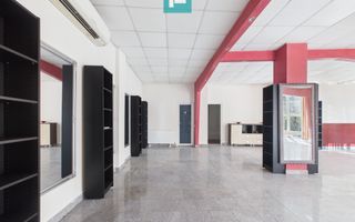 Spațiu comercial de închiriat, zona Vlaicu - Poză 9