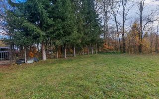 Teren de vanzare în reprezentare exclusivă, situat pe Valea Avrigului! - Poză 4