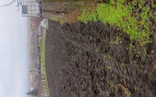 Teren intravilan - Poză 2