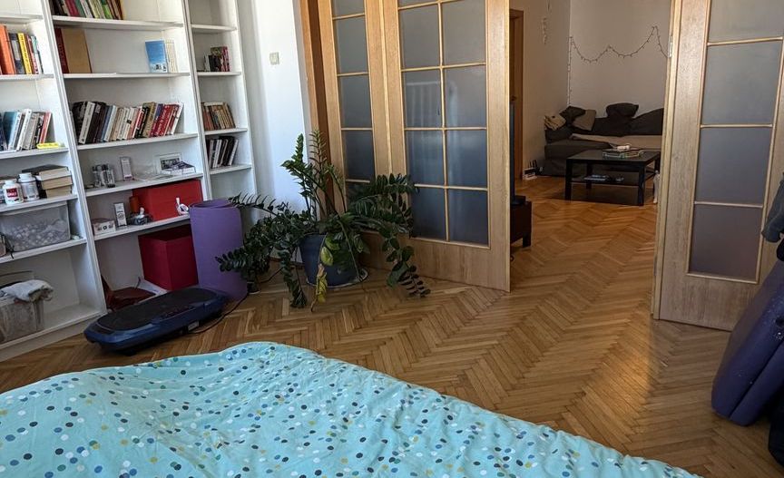 Apartament ultracentral Crisana // Cismigiu - Poză 1