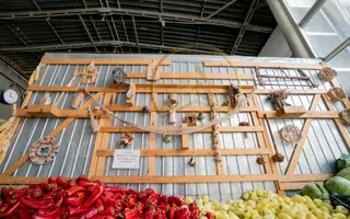 CET -Vanzare Complex Comercial Piața Cet Constanta - Poză 13