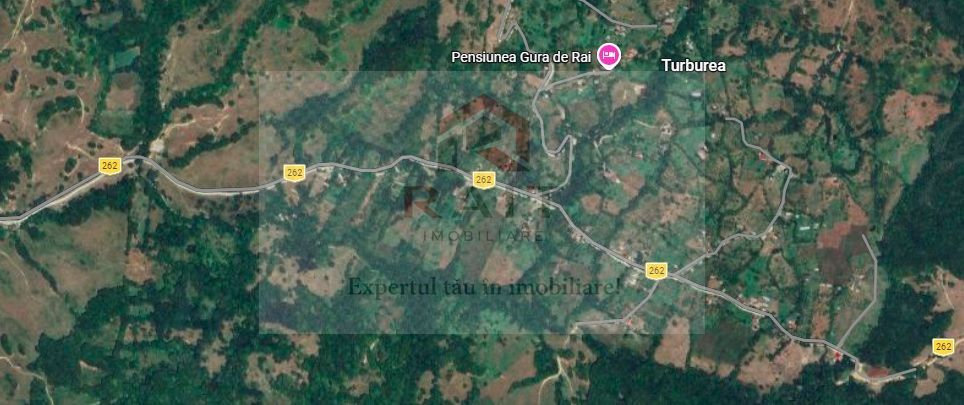 Teren extravilan de vânzare 11.740 mp Corbeni Turburea Argeș - Poză 1