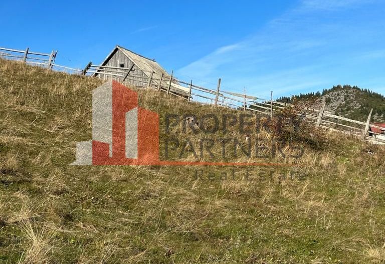 Teren Fundatica intravilan 4500 mp - Poză 10