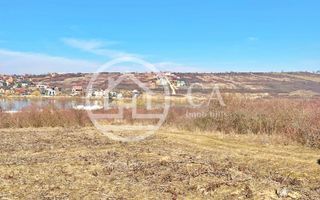 Teren 10.071 mp de vanzare in Paleu, Bihor - Poză 1