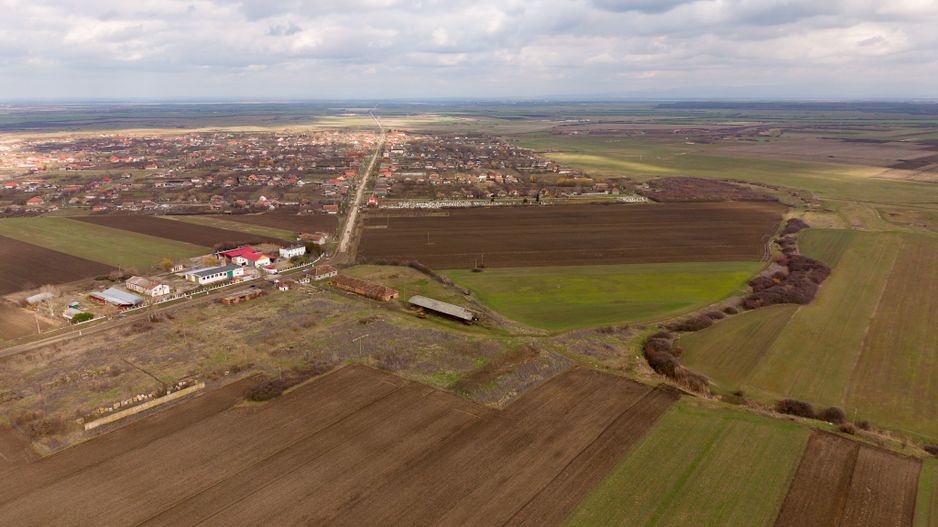 Fermă cu teren intravilan de 35000 mp în Mișca - Poză 5