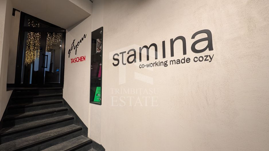 Coworking modern în zona Cișmigiu – 3 birouri de închiriat - Poză 67
